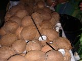 Das Highlight, traditionelles Kokosnuss öffnen zur Begrüßung ihrer Gäste (3).JPG
